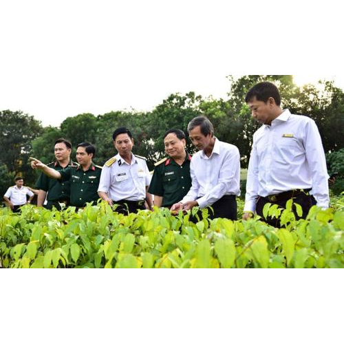 Một Triệu Cây Vì Biển Đảo Tổ Quốc, Vì Quê Hương Việt Nam Xanh